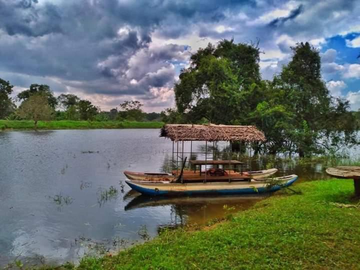 Elephant Safari Lodge Sigiriya Junction Хабарана Екстериор снимка