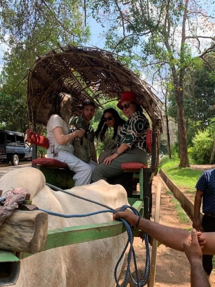 Elephant Safari Lodge Sigiriya Junction Хабарана Екстериор снимка