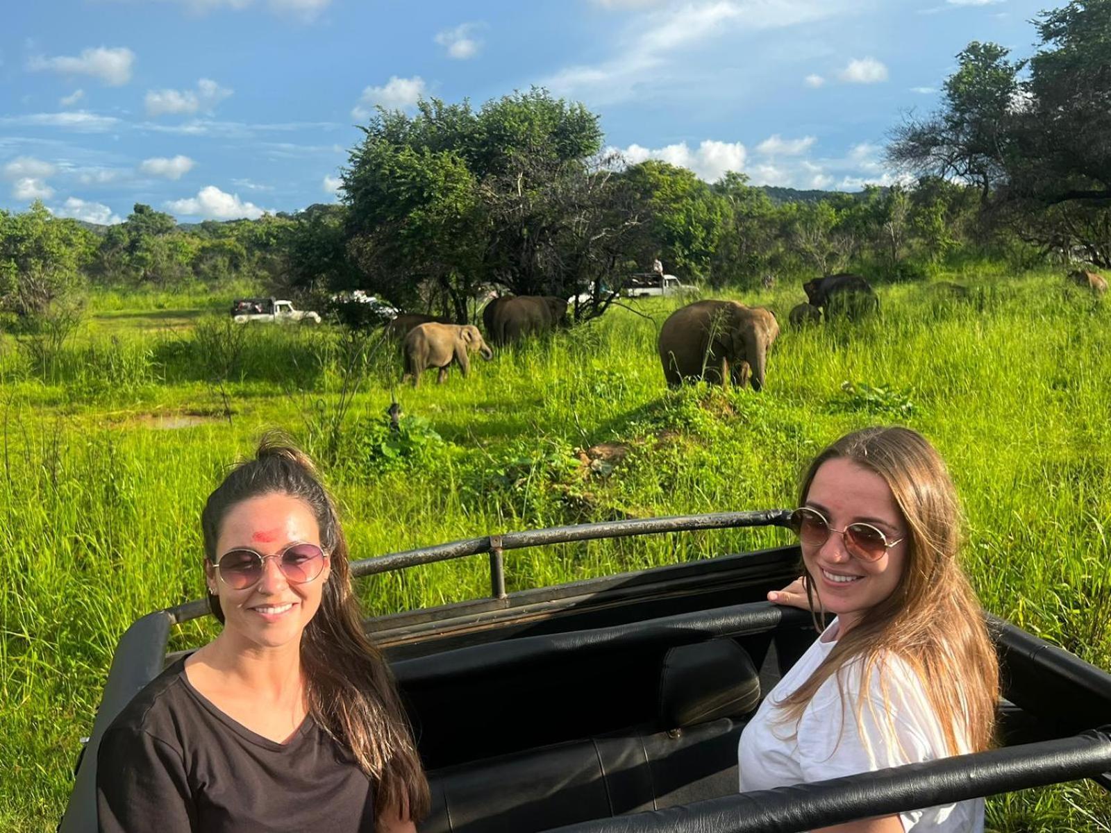 Elephant Safari Lodge Sigiriya Junction Хабарана Екстериор снимка