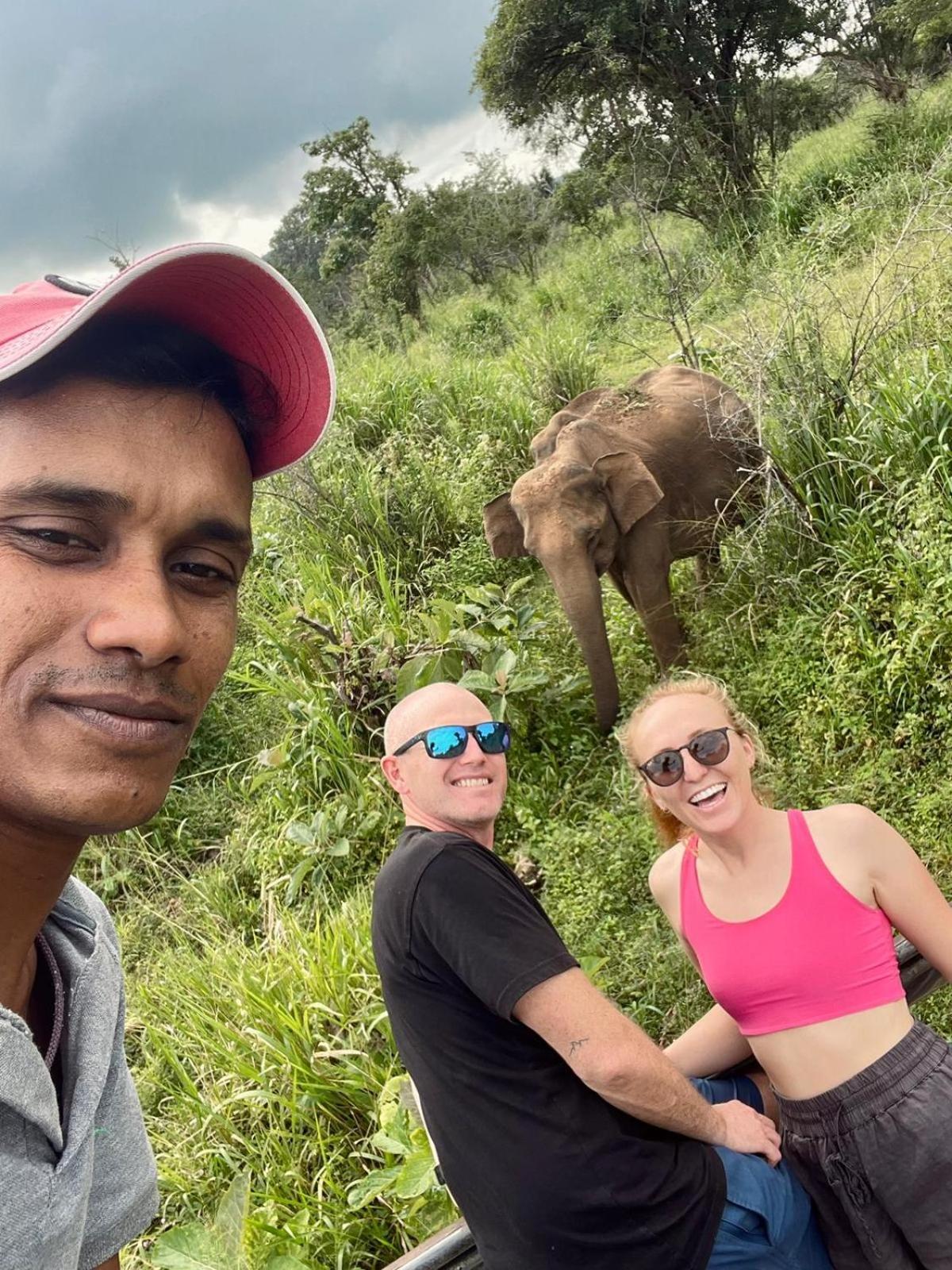 Elephant Safari Lodge Sigiriya Junction Хабарана Екстериор снимка