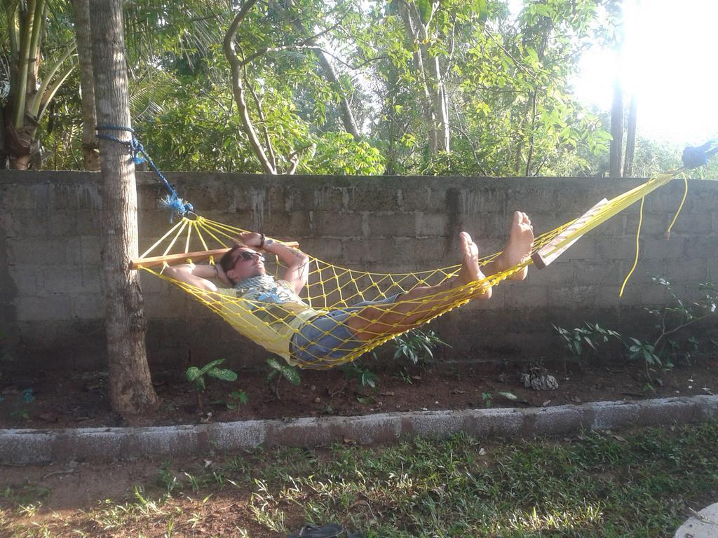 Elephant Safari Lodge Sigiriya Junction Хабарана Екстериор снимка