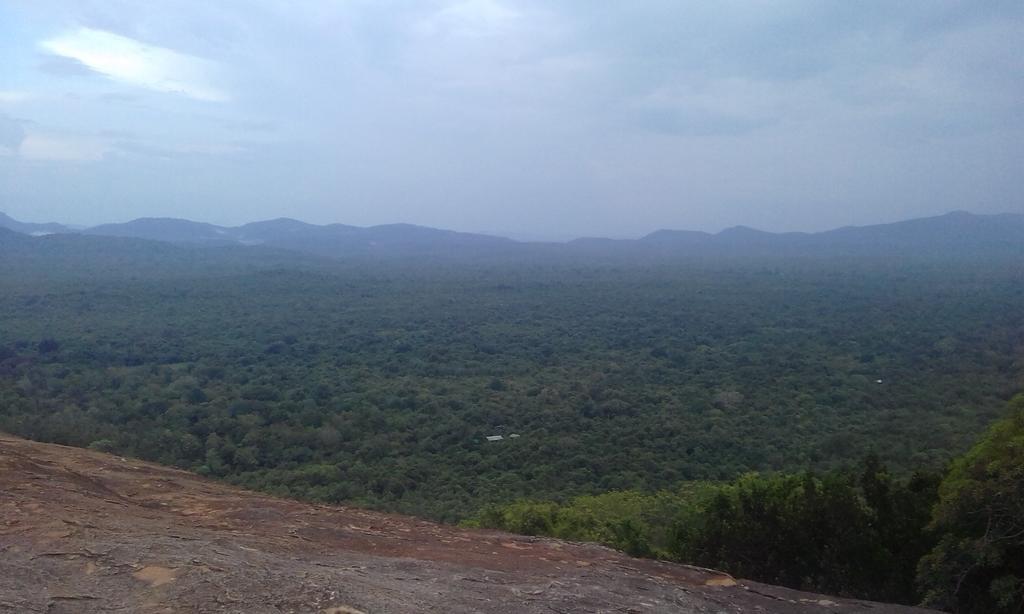 Elephant Safari Lodge Sigiriya Junction Хабарана Екстериор снимка