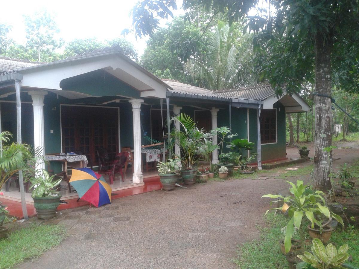 Elephant Safari Lodge Sigiriya Junction Хабарана Екстериор снимка