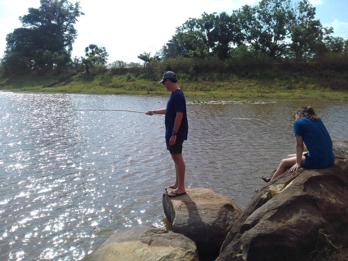 Elephant Safari Lodge Sigiriya Junction Хабарана Екстериор снимка
