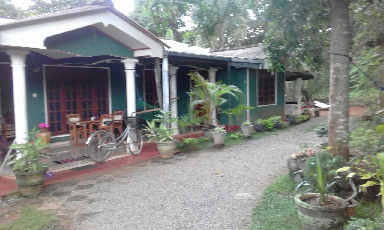 Elephant Safari Lodge Sigiriya Junction Хабарана Екстериор снимка
