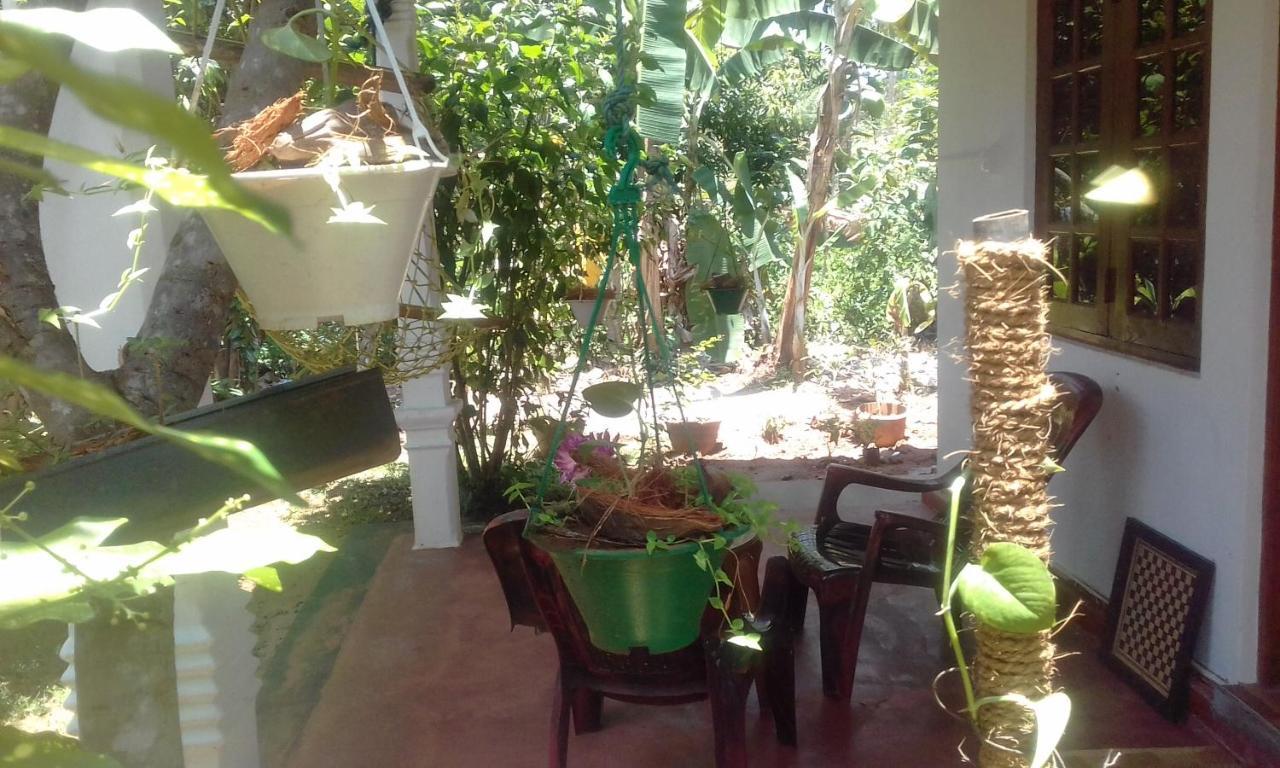Elephant Safari Lodge Sigiriya Junction Хабарана Екстериор снимка